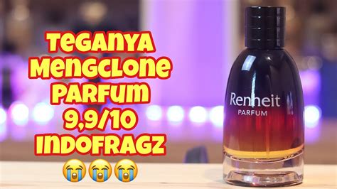 phenomenal fragrance erfahrung